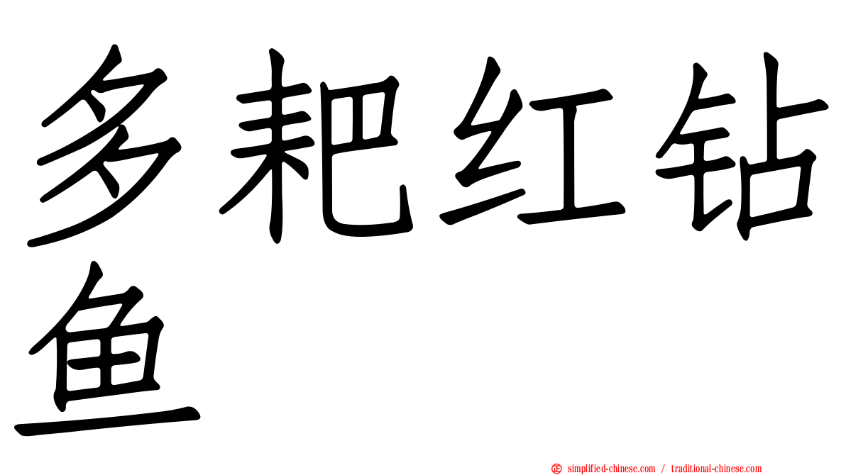 多耙红钻鱼