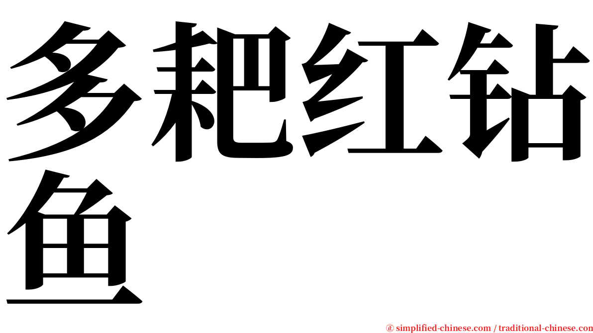 多耙红钻鱼 serif font