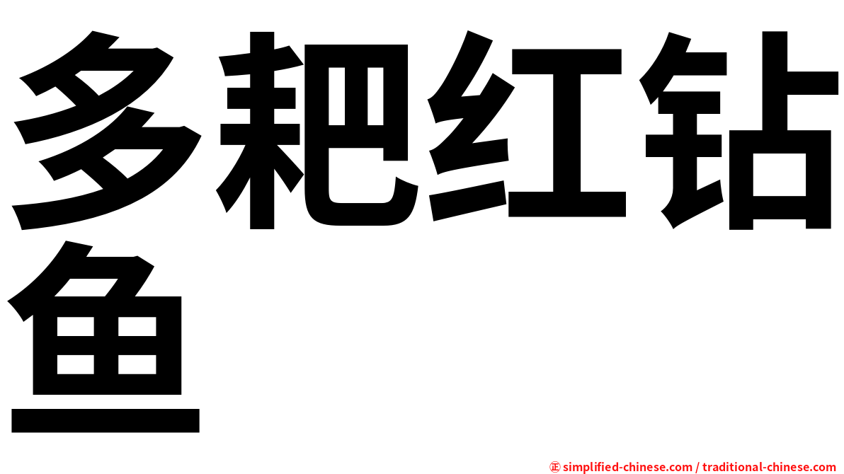 多耙红钻鱼