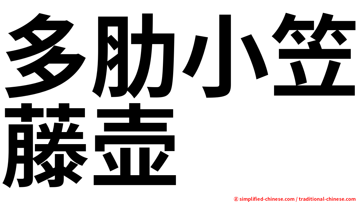 多肋小笠藤壶
