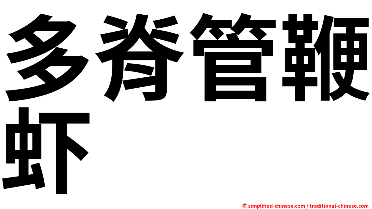 多脊管鞭虾