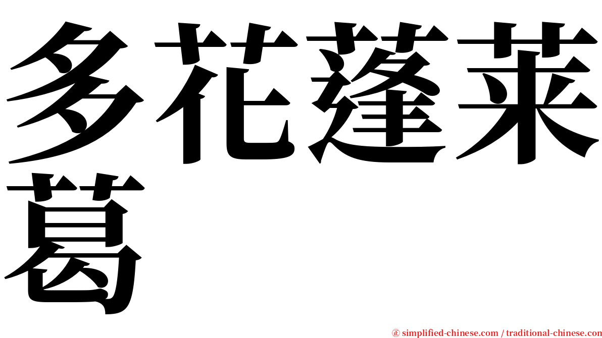 多花蓬莱葛 serif font