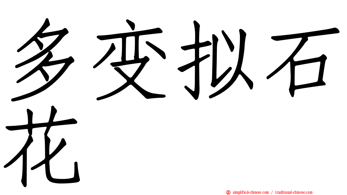 多变拟石花