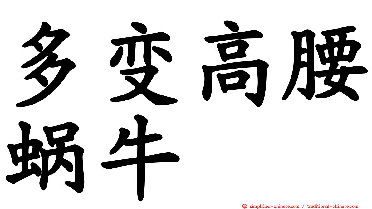 多变高腰蜗牛