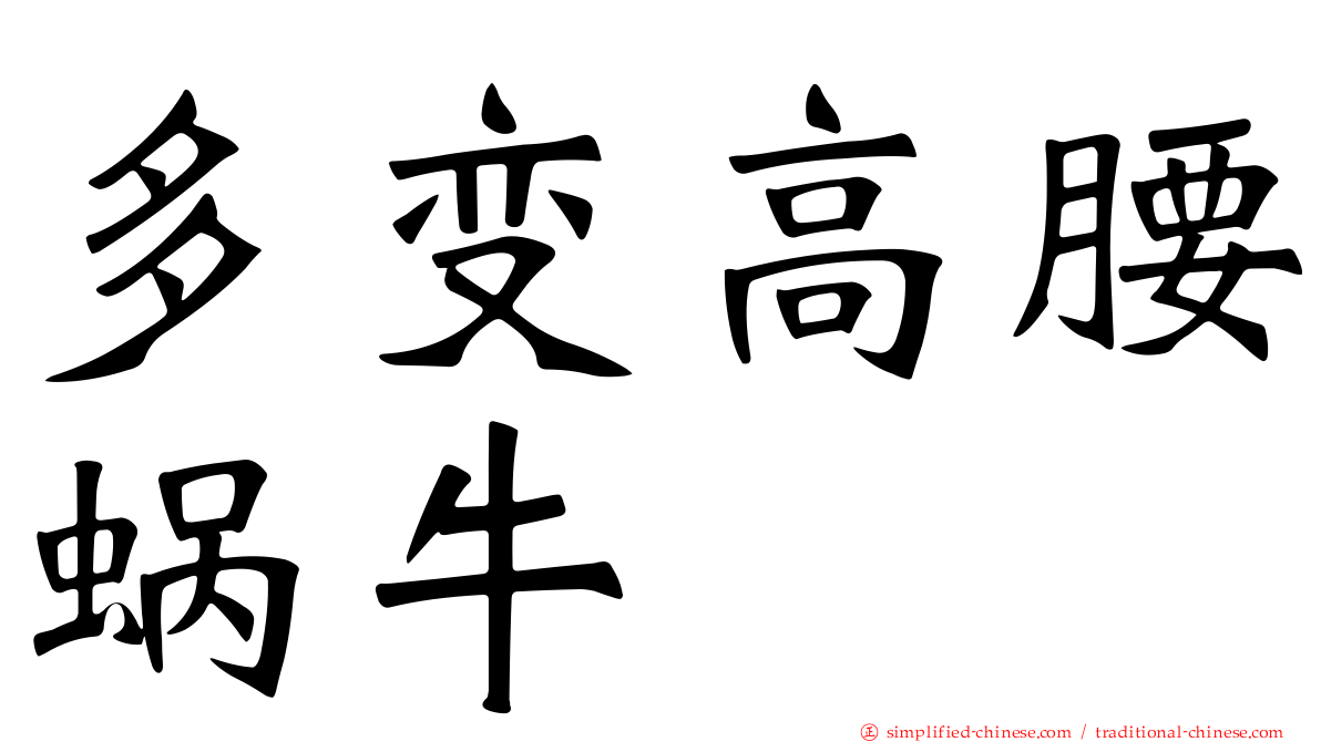 多变高腰蜗牛