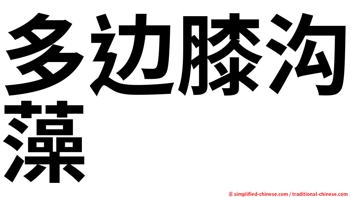 多边膝沟藻
