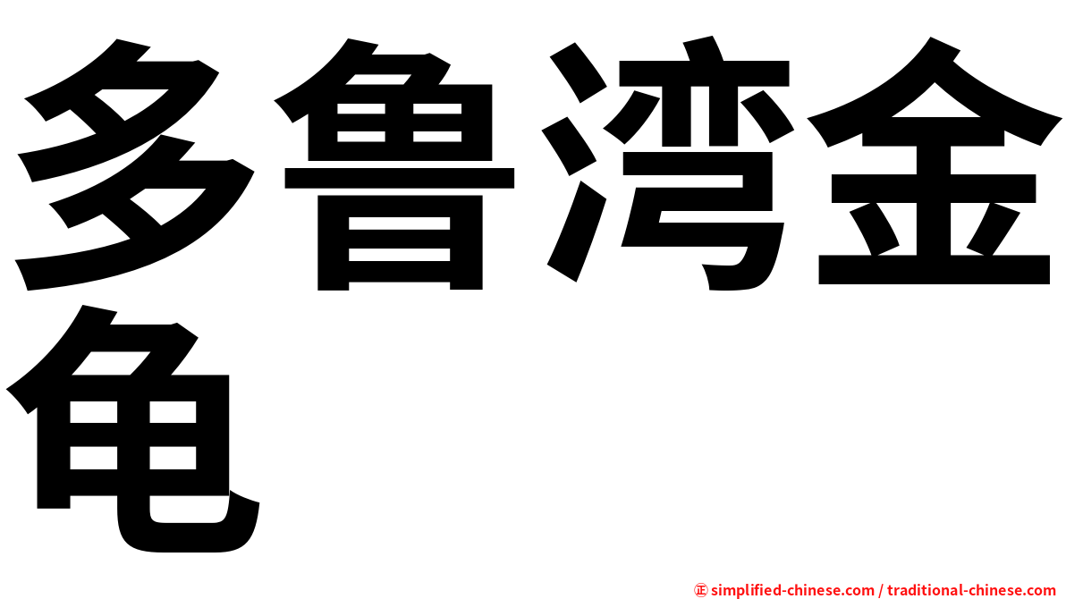 多鲁湾金龟