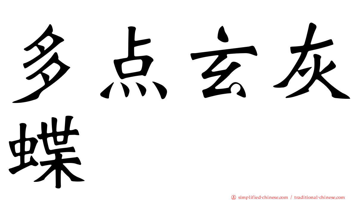 多点玄灰蝶