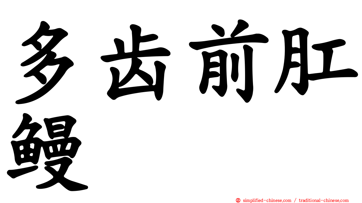 多齿前肛鳗