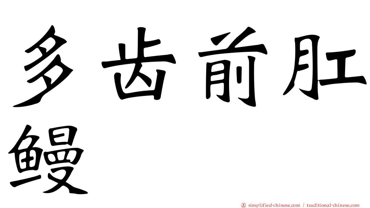 多齿前肛鳗