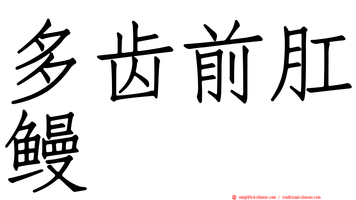 多齿前肛鳗