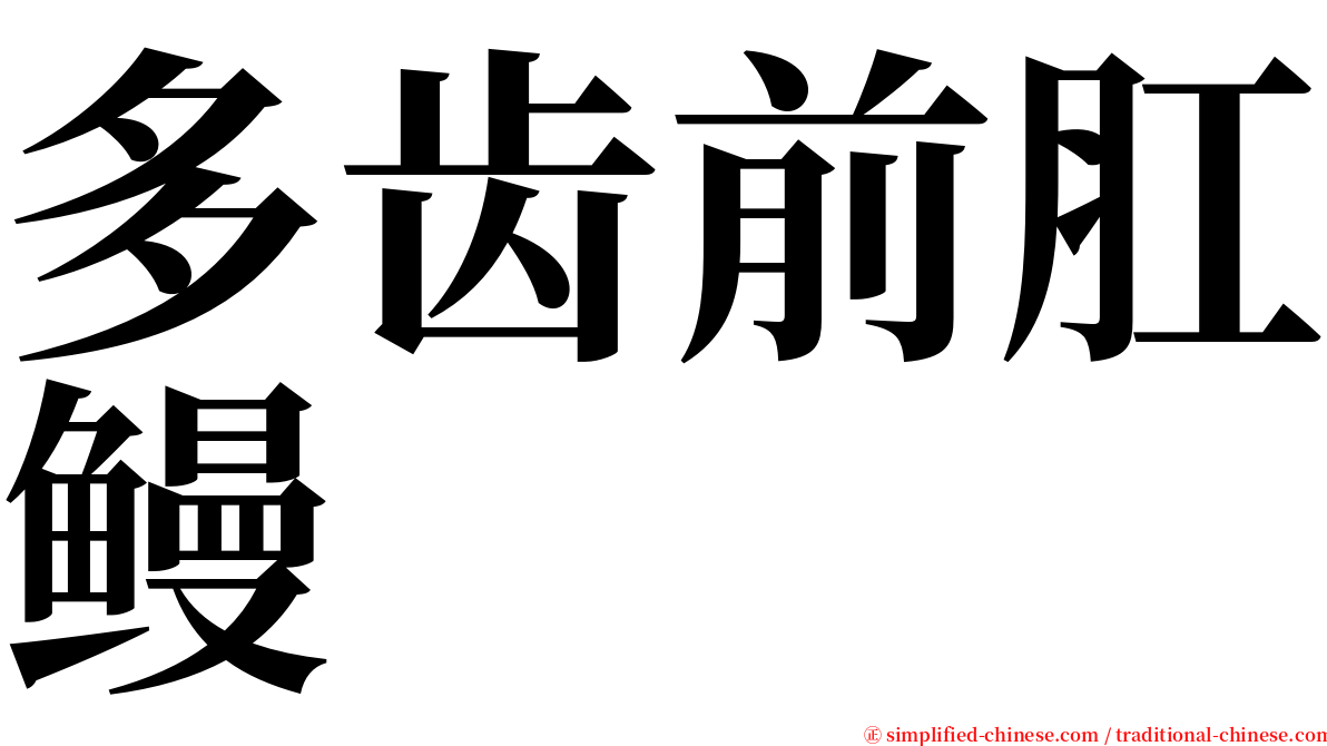 多齿前肛鳗 serif font