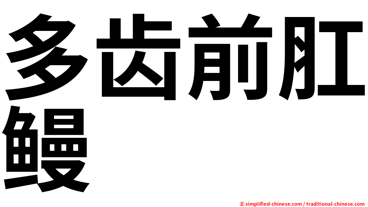 多齿前肛鳗