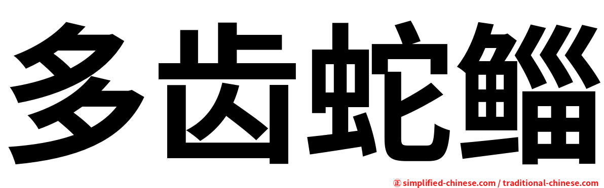 多齿蛇鲻