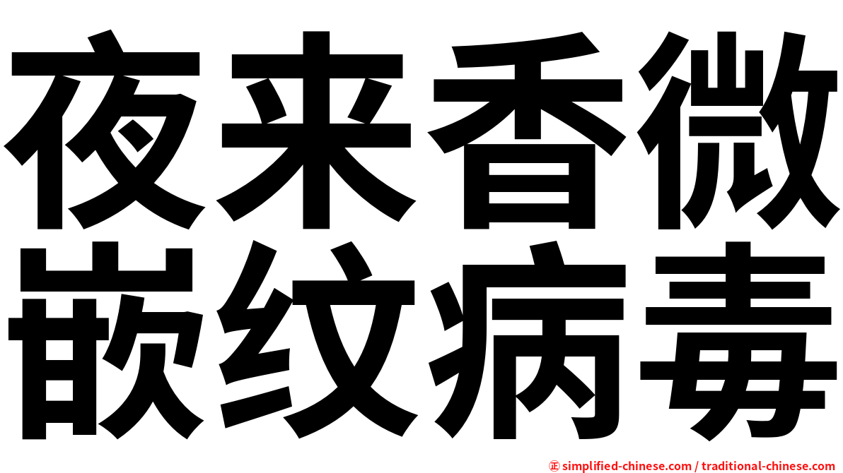 夜来香微嵌纹病毒
