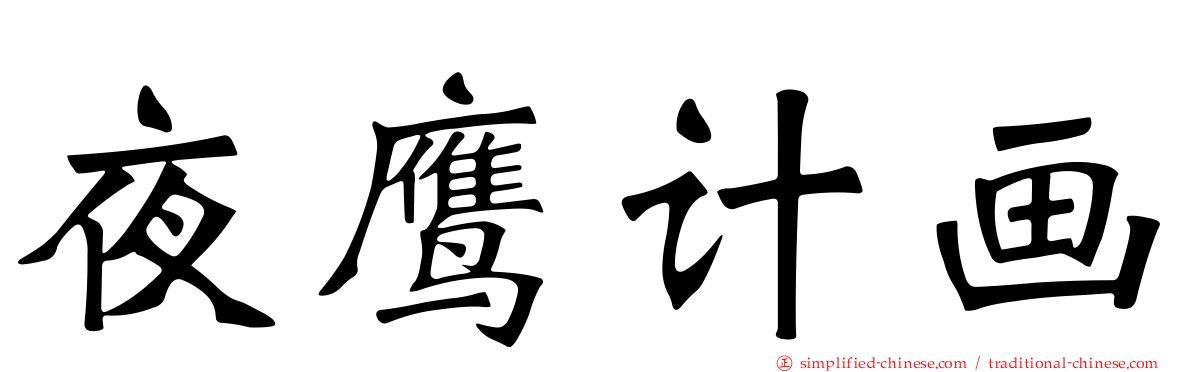 夜鹰计画