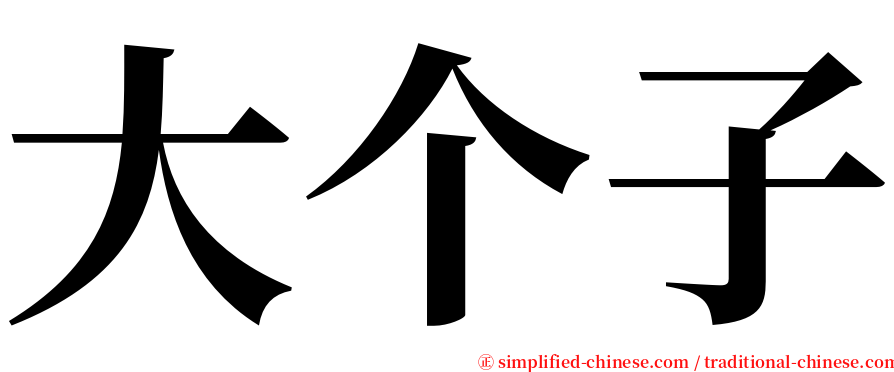 大个子 serif font