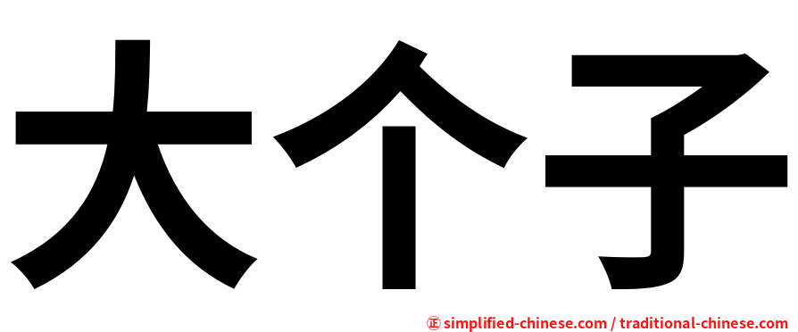 大个子