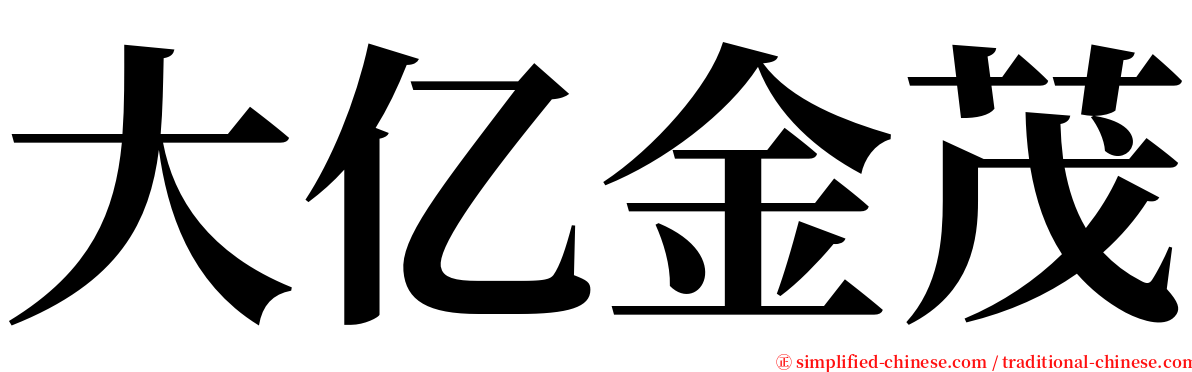 大亿金茂 serif font