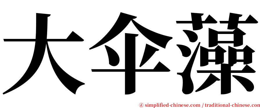 大伞藻 serif font