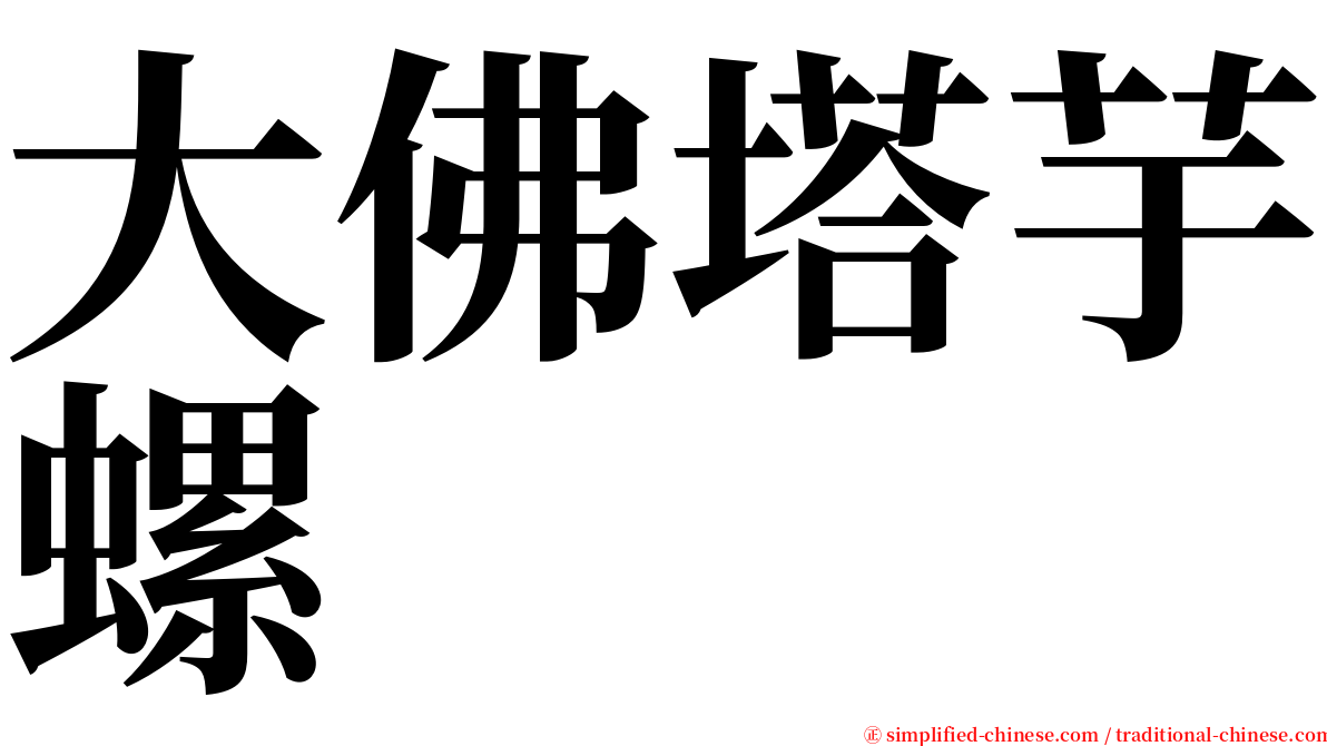 大佛塔芋螺 serif font