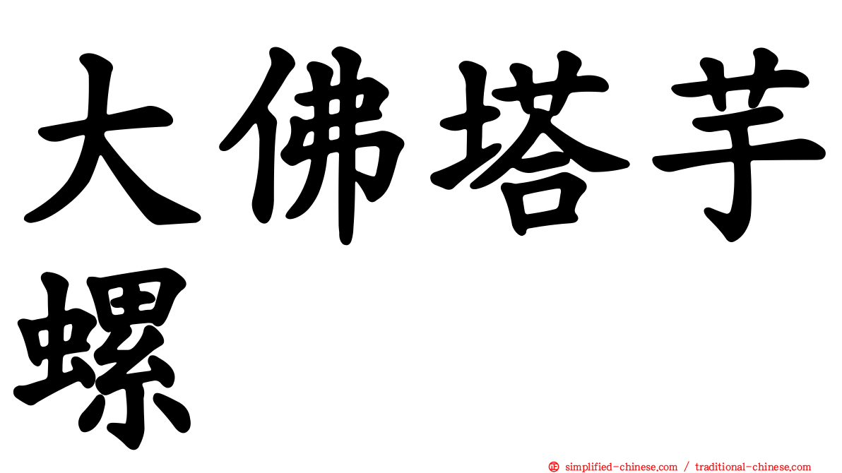 大佛塔芋螺