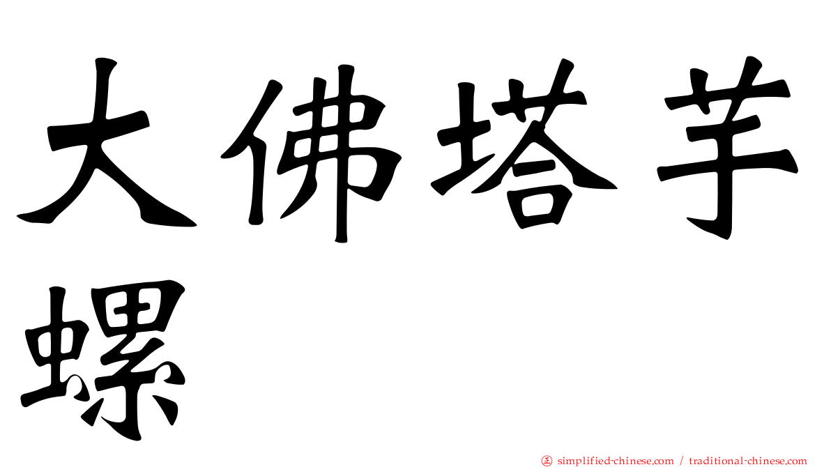 大佛塔芋螺