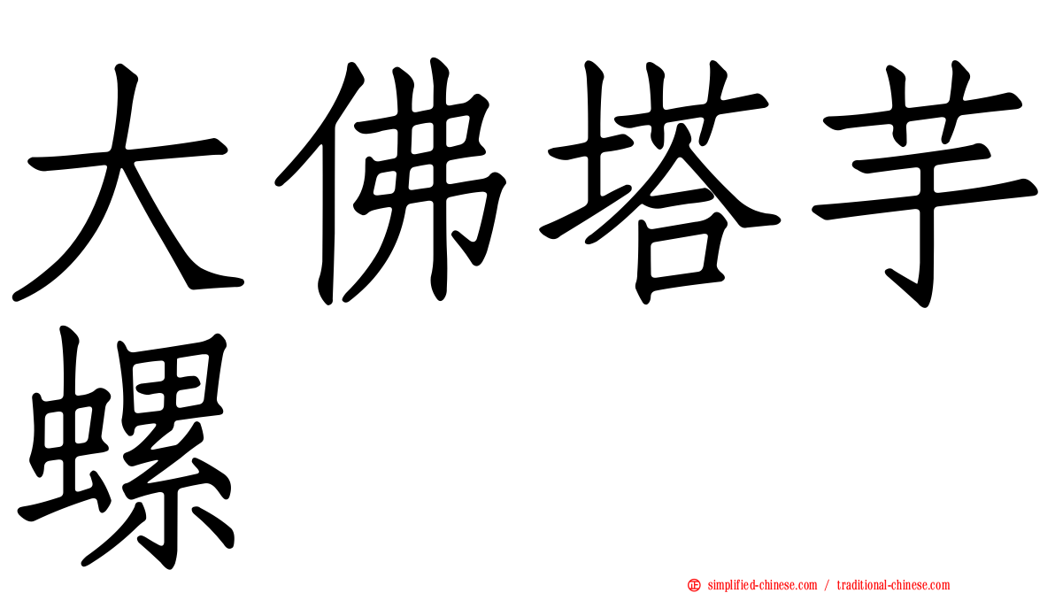 大佛塔芋螺
