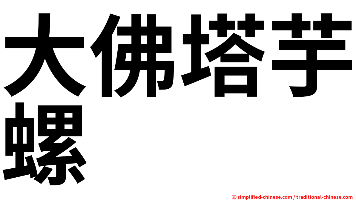 大佛塔芋螺