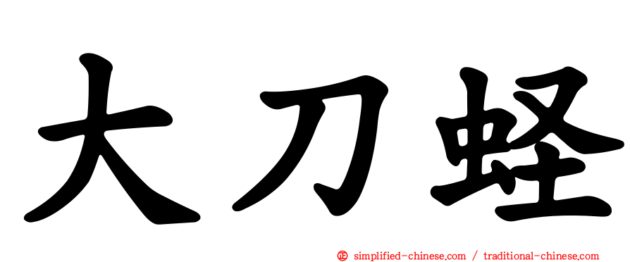 大刀蛏