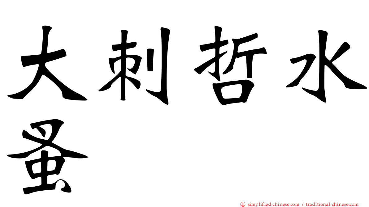 大刺哲水蚤