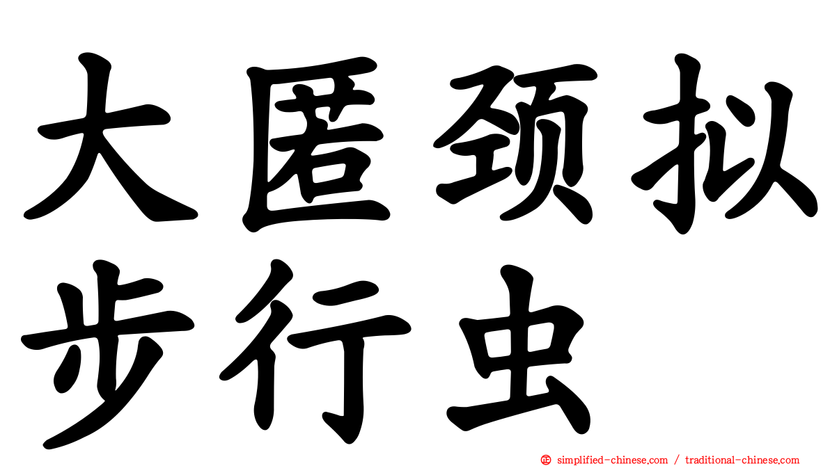 大匿颈拟步行虫