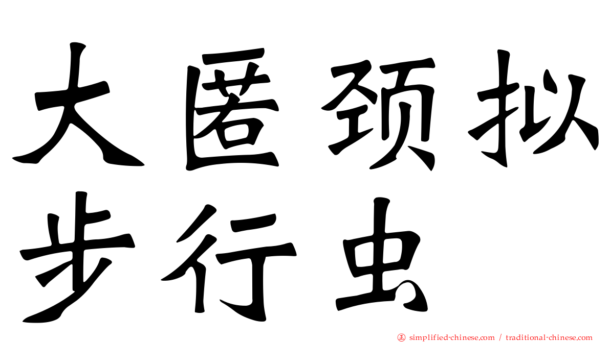 大匿颈拟步行虫