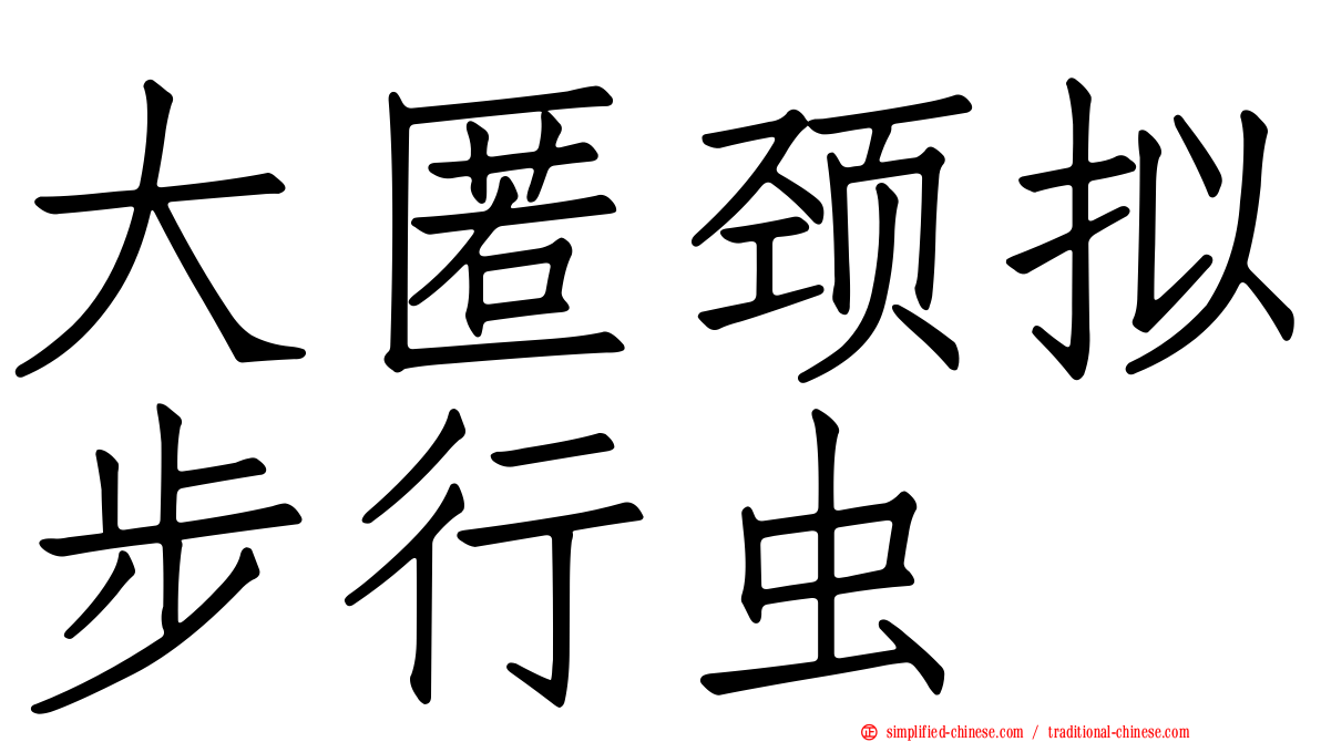 大匿颈拟步行虫