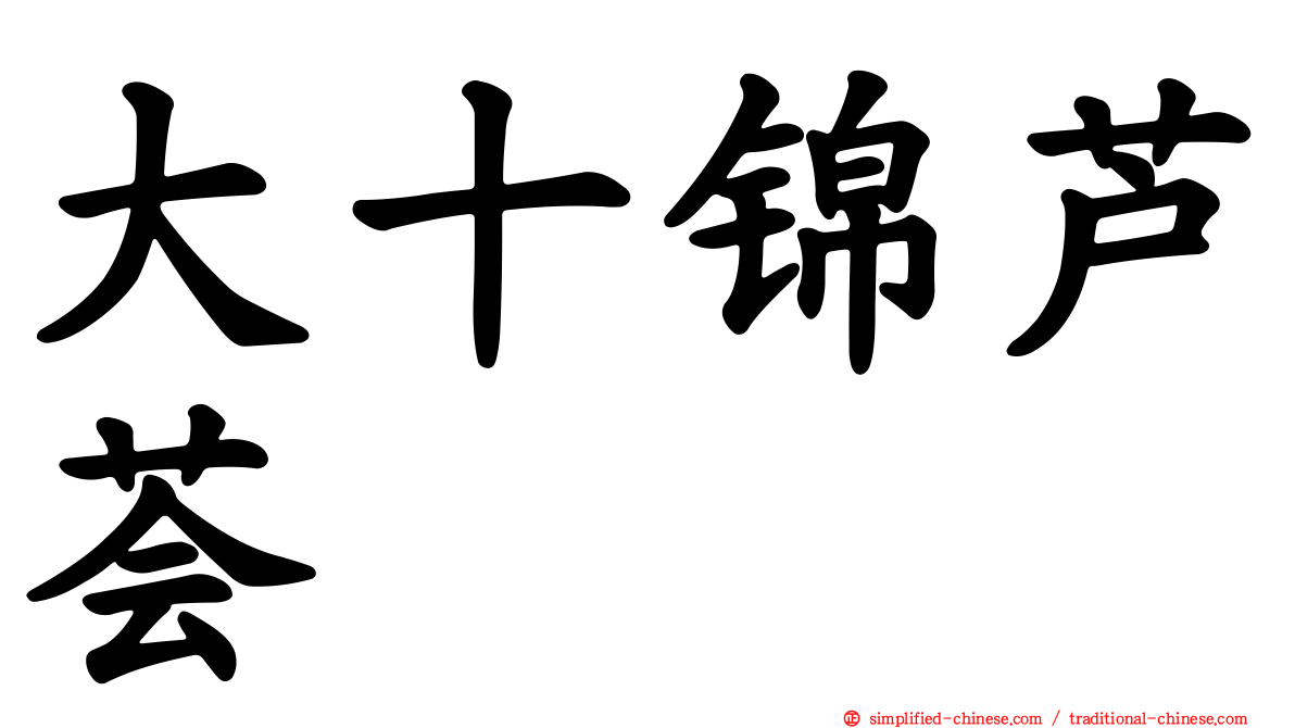 大十锦芦荟