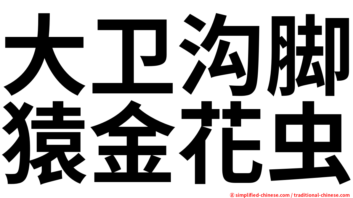 大卫沟脚猿金花虫
