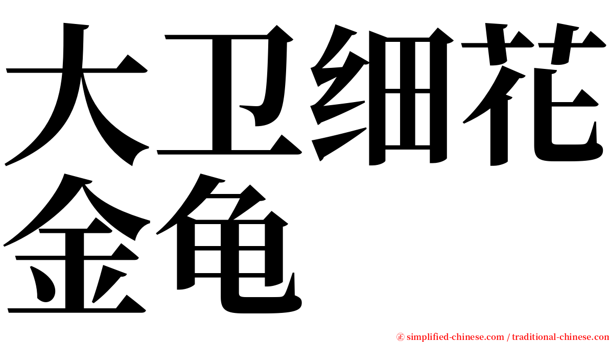 大卫细花金龟 serif font