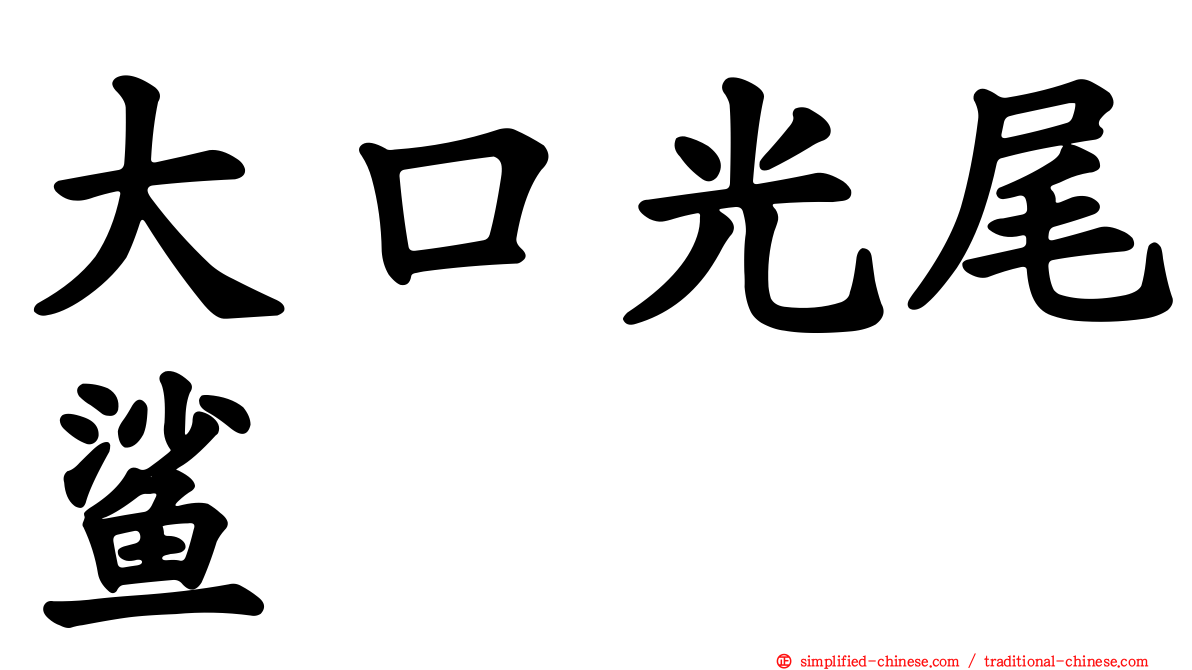 大口光尾鲨