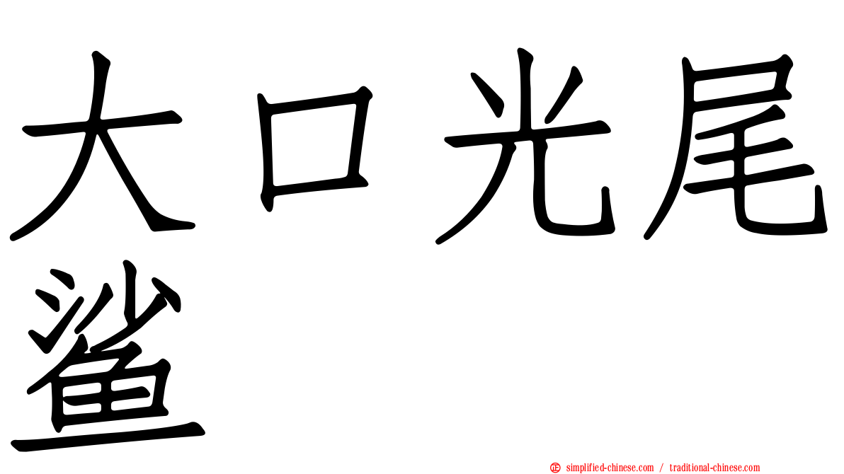 大口光尾鲨