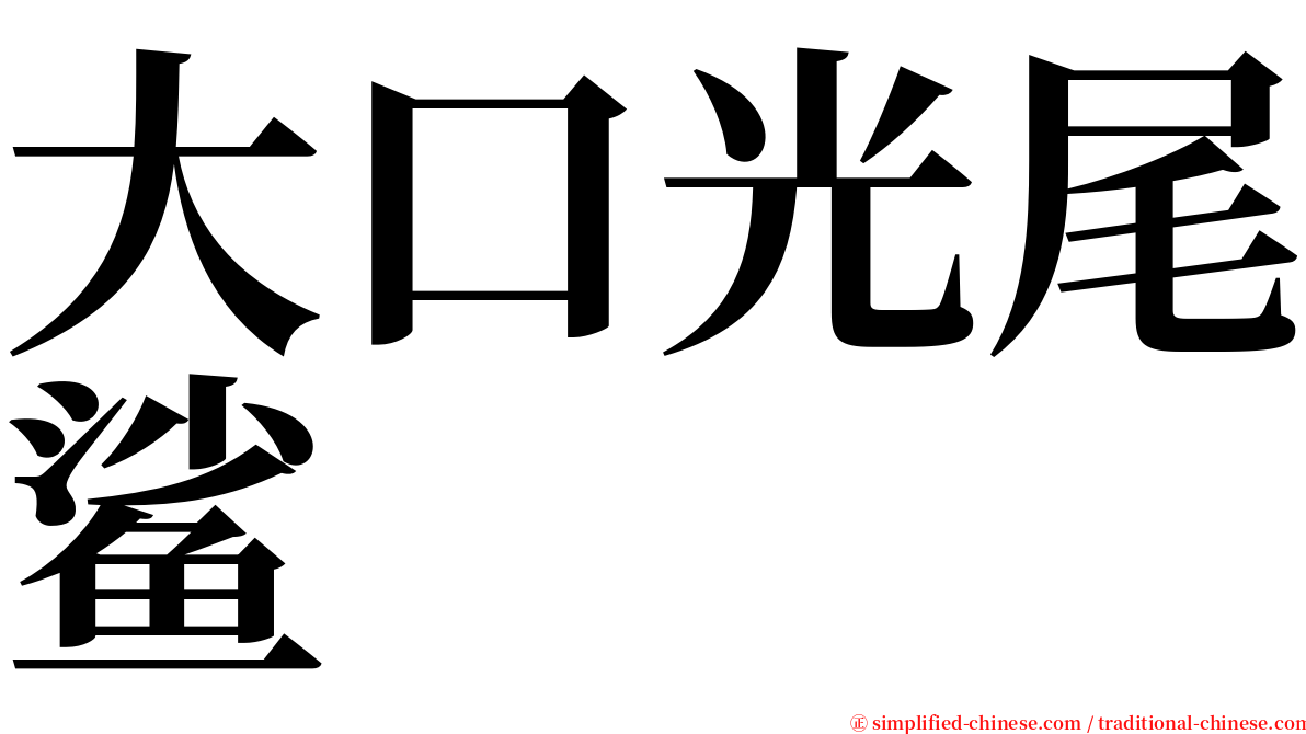 大口光尾鲨 serif font