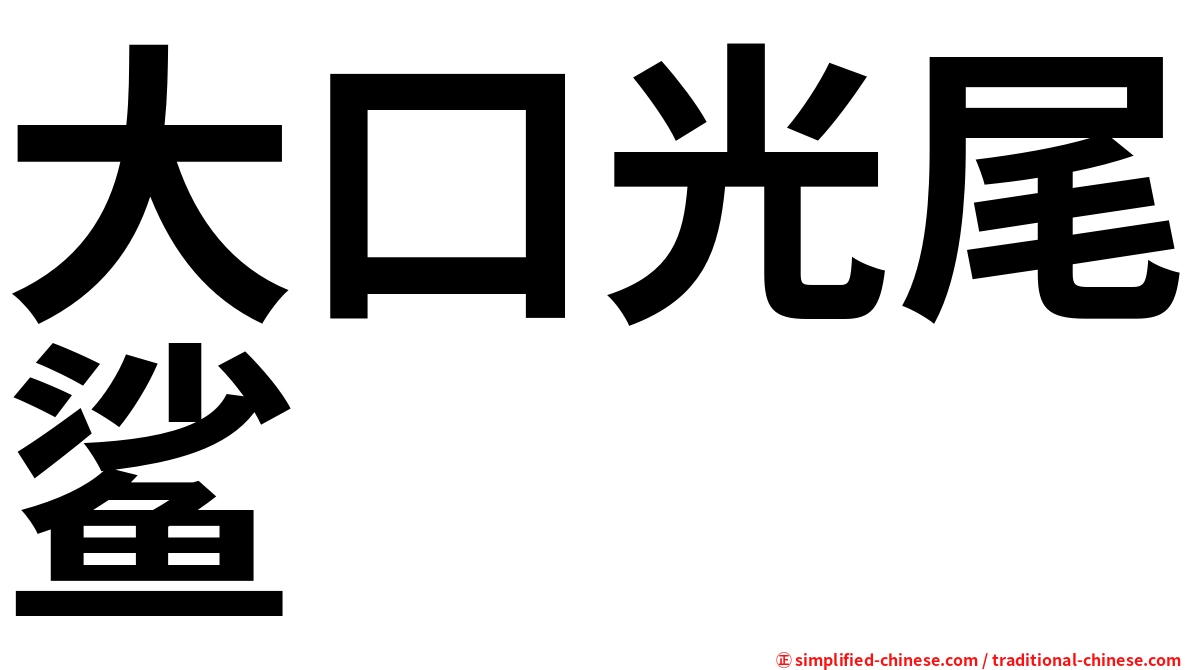 大口光尾鲨