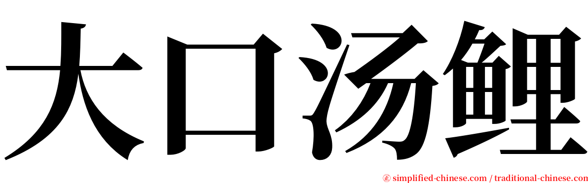 大口汤鲤 serif font