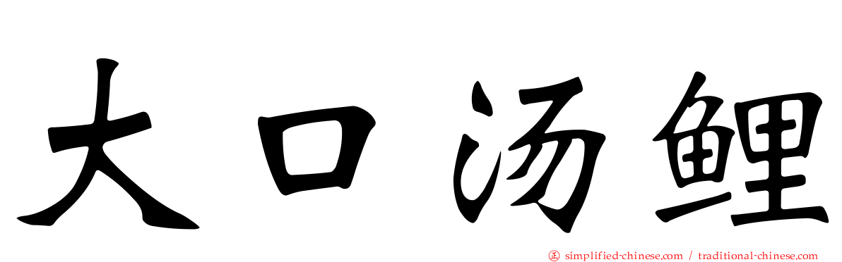 大口汤鲤
