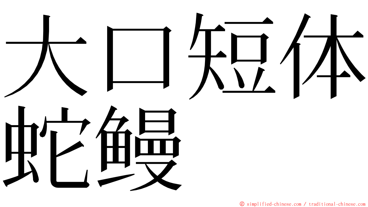大口短体蛇鳗 ming font