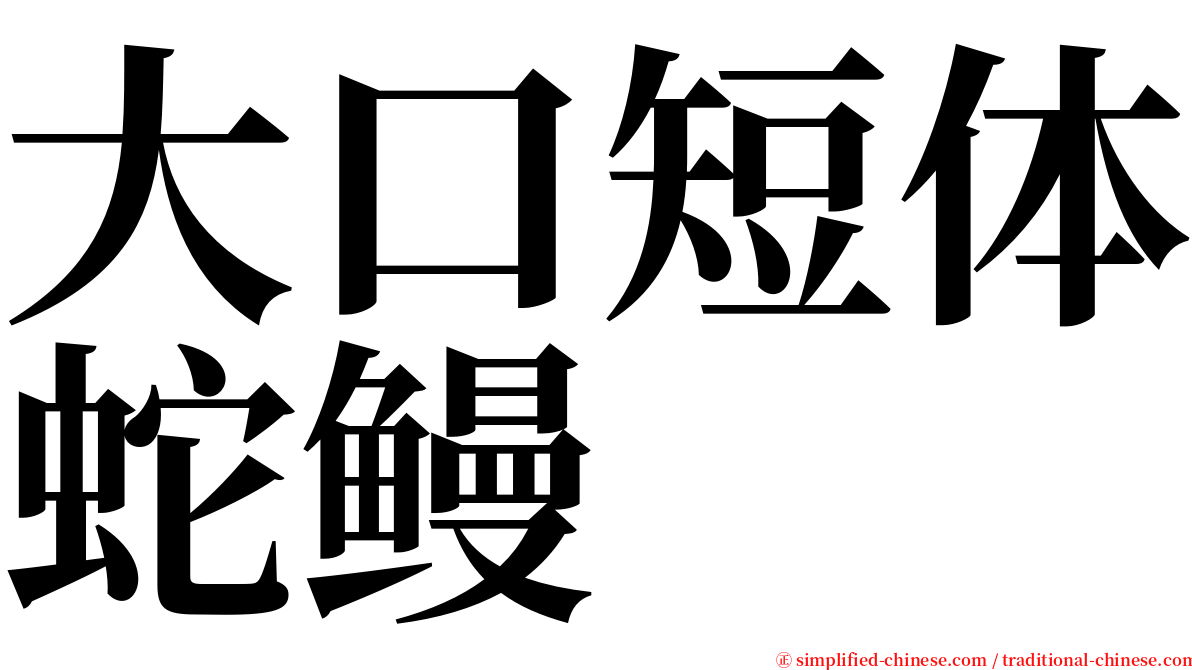 大口短体蛇鳗 serif font