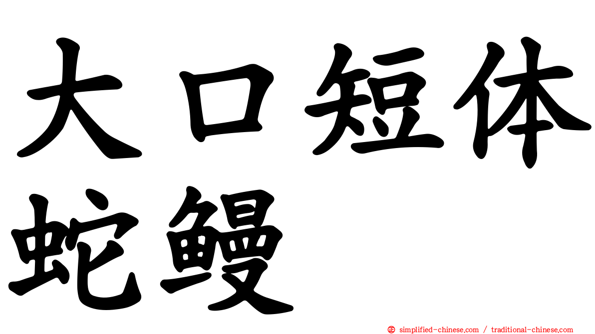 大口短体蛇鳗