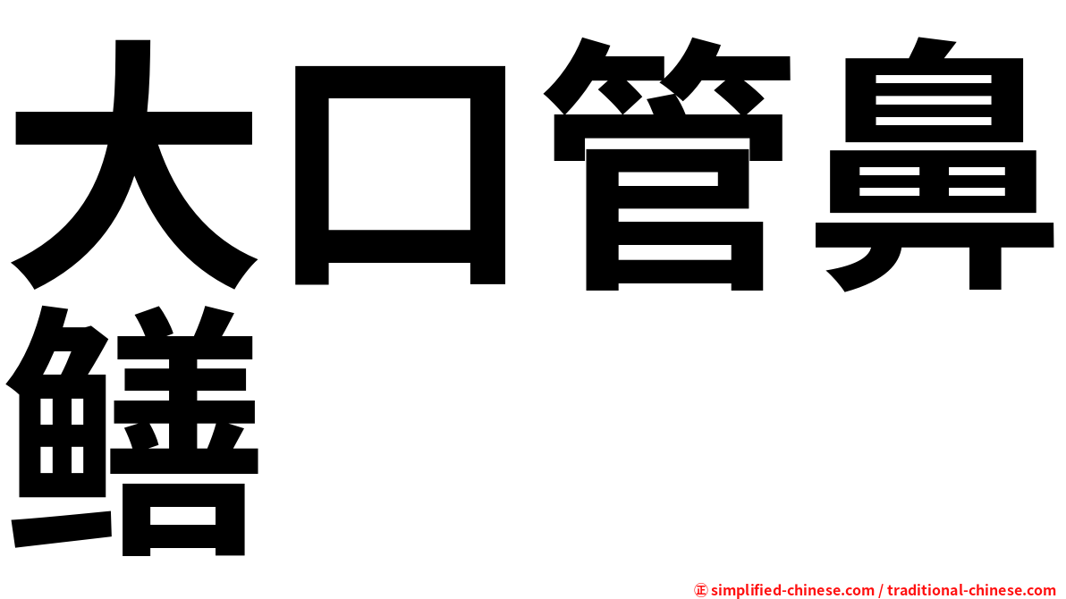 大口管鼻鳝
