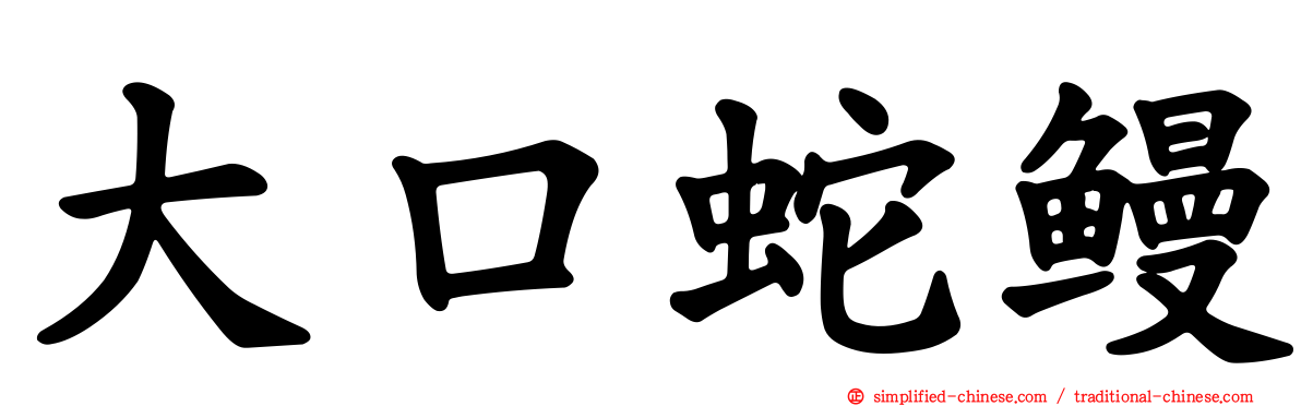 大口蛇鳗