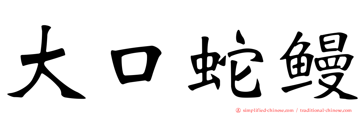 大口蛇鳗
