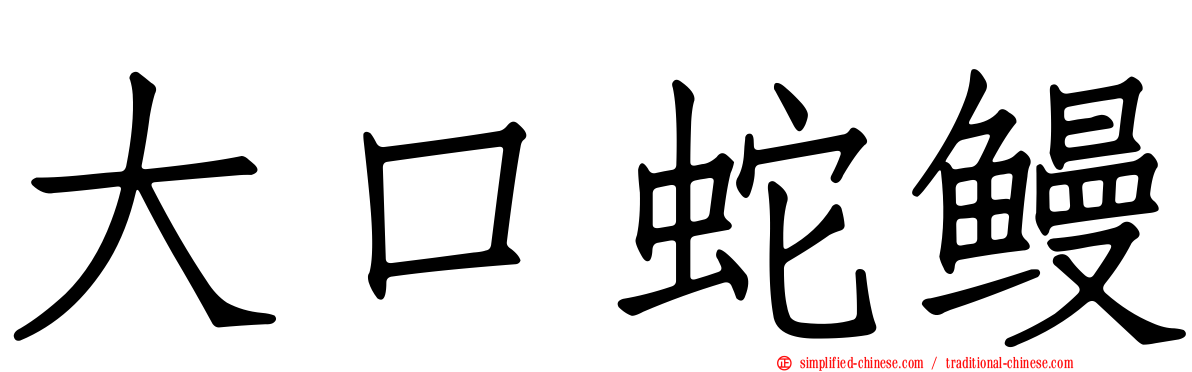 大口蛇鳗